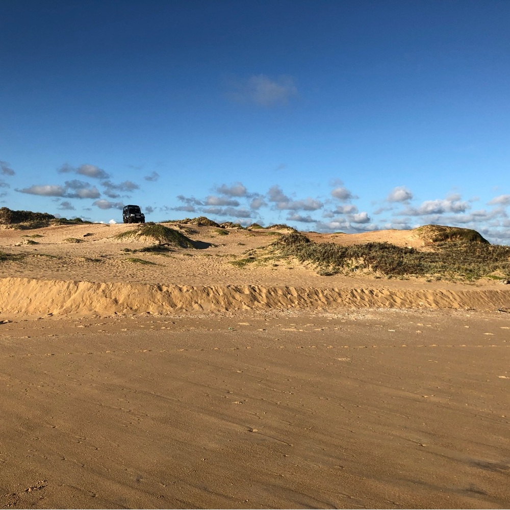 Meet your Posher, Rita